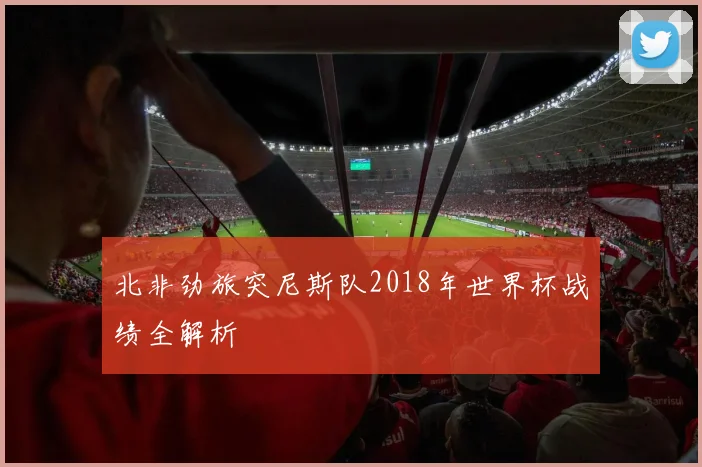 北非劲旅突尼斯队2018年世界杯战绩全解析