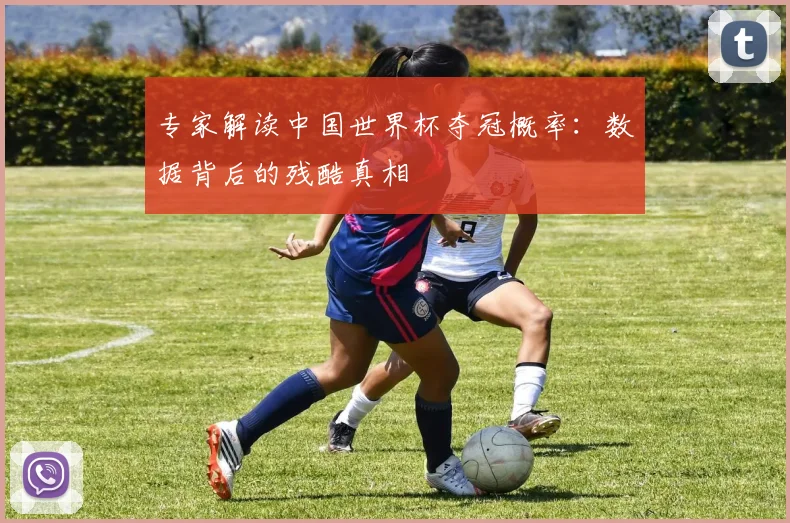 专家解读中国世界杯夺冠概率：数据背后的残酷真相