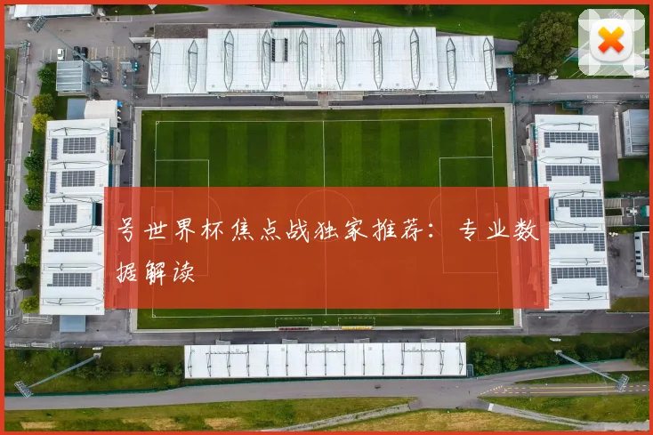 号世界杯焦点战独家推荐：专业数据解读