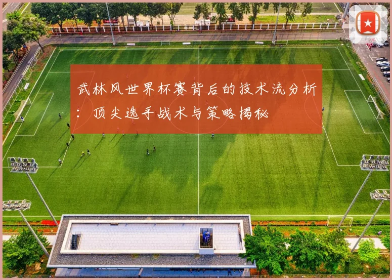 武林风世界杯赛背后的技术流分析：顶尖选手战术与策略揭秘