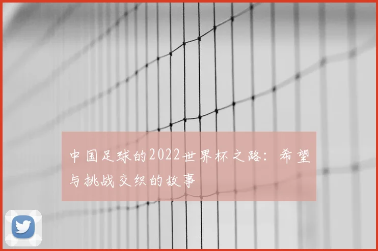 中国足球的2022世界杯之路：希望与挑战交织的故事