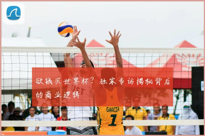 欲钱买世界杯？独家专访揭秘背后的商业逻辑