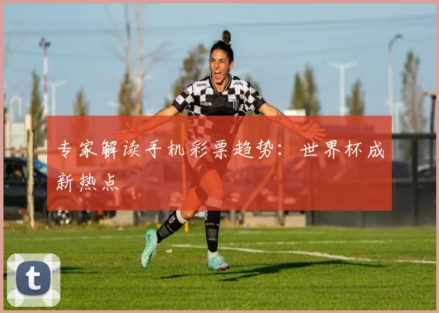 专家解读手机彩票趋势：世界杯成新热点