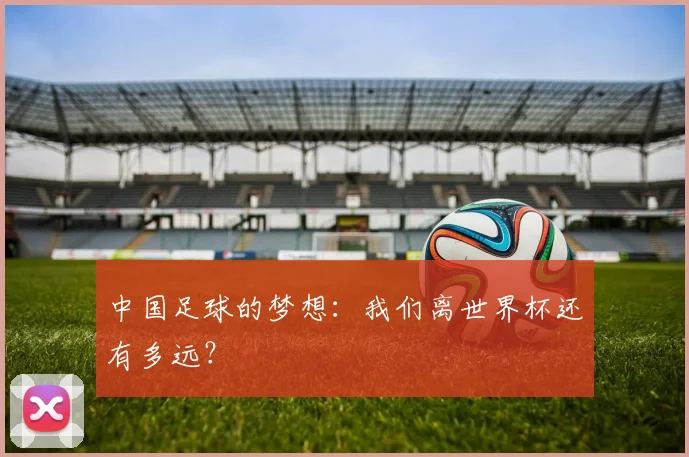 中国足球的梦想：我们离世界杯还有多远？
