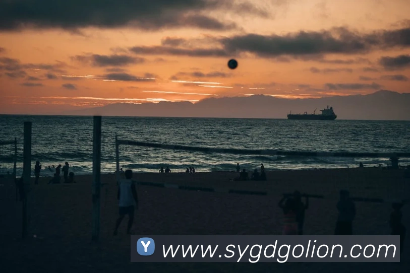 开云在线官网登录入口发展历程