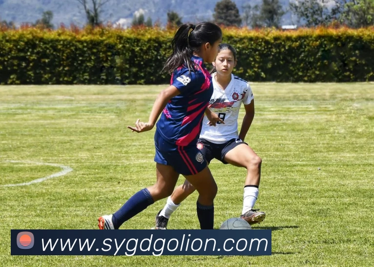 2032年奥运会主办国为澳大利亚将带动当地体育与基建投资